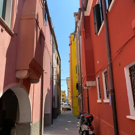 Sepa Chioggia