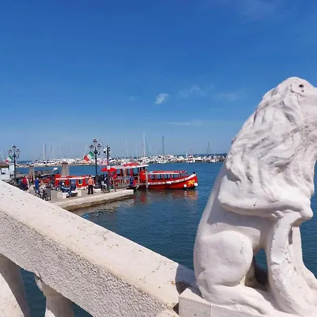 Sepa * Chioggia