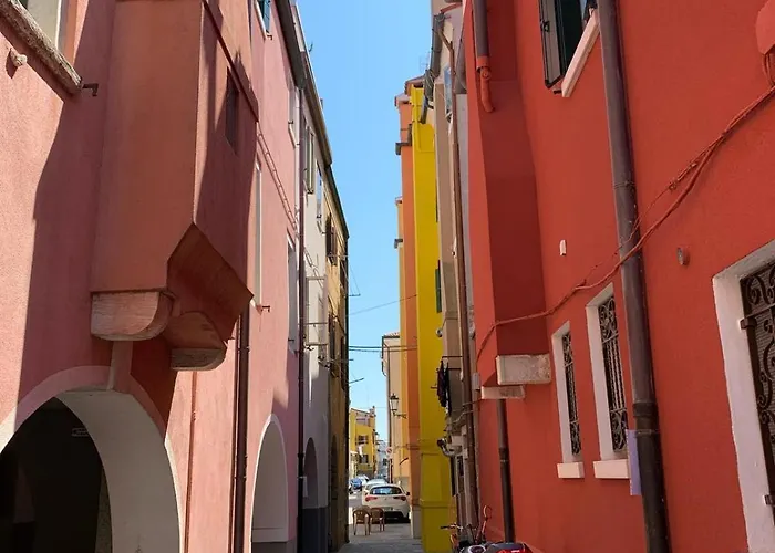 Sepa Chioggia